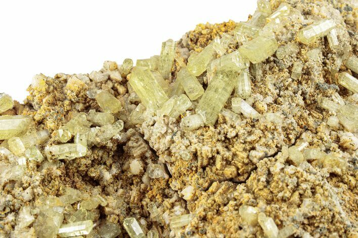 Lustrous, Yellow Apatite Crystals on Feldspar - Morocco #251134